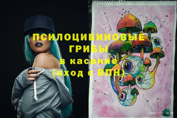 каннабис Инта