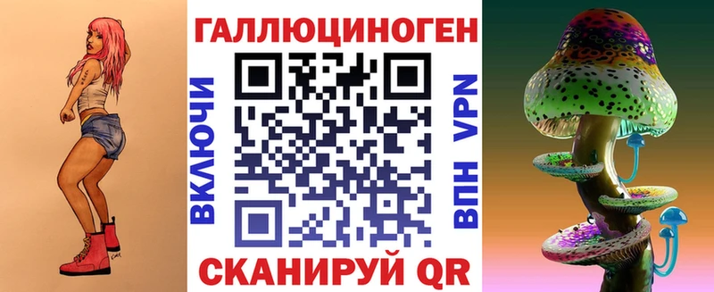 Купить  Белая Холуница  Галлюциногенные грибы Psilocybe 
