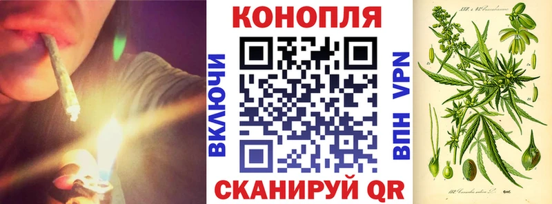 Купить  Белая Холуница  Бошки марихуана план 